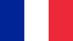 250px-flag_of_france. Svg1_. Png